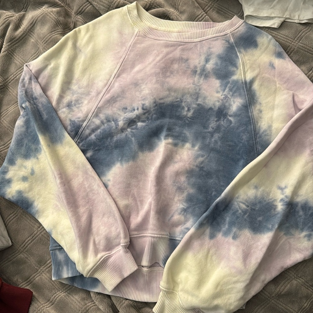 American eagle cropped sweatshirt